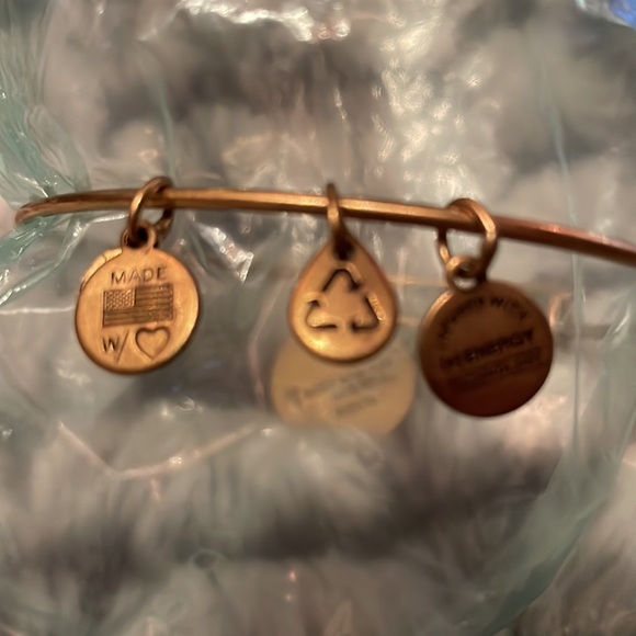 Alex and Ani 2014 made in USA. Fluer dDi Lis. Adjustable. - Picture 3 of 5
